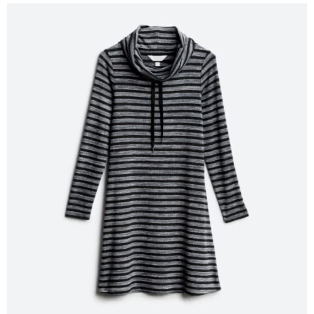 Market Spruce - Granita knit dress